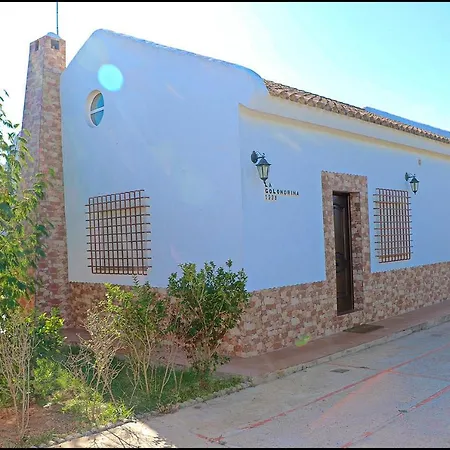 Casa Roche Viejo * Кониль-де-ла-Фронтера